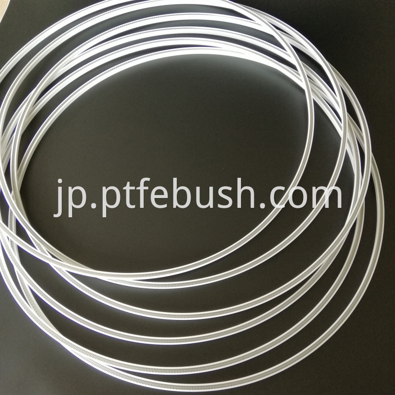 Spring Energized Seal 9